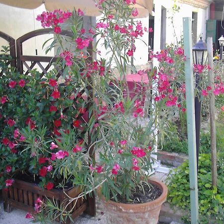 La Chicca B&B Кассине Экстерьер фото