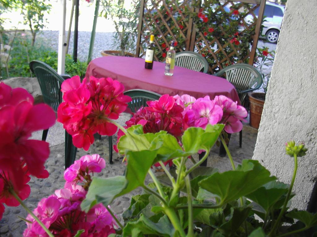 La Chicca B&B Кассине Экстерьер фото